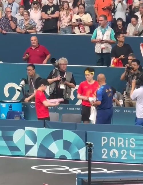 莎頭組合 球拍被惡意踩壞,針對還是無意,游泳隊持續(xù)0金