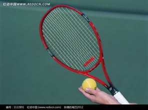 舉著網(wǎng)球和球拍準(zhǔn)備發(fā)球的手圖片免費(fèi)下載 編號(hào)1122891 紅動(dòng)網(wǎng)