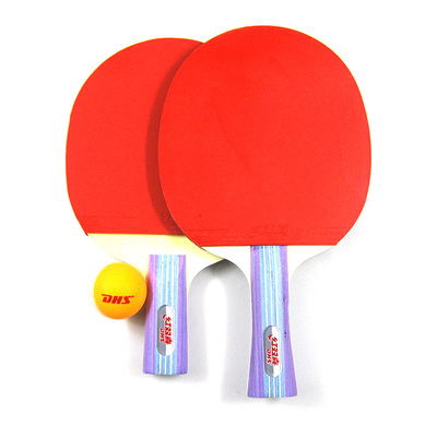 紅雙喜(DHS)I型成品乒乓球拍兒童學(xué)生雙面反膠兩只裝入門直拍橫拍