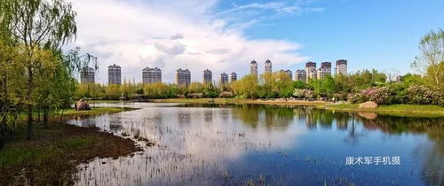 丁香園里的多彩風(fēng)光——康術(shù)軍手機隨拍作品選